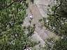 rt015devils-climber.jpg