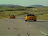 rt029devils-yellowc5s-3.jpg