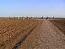 rt100cadillac-ranch.jpg