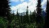 02trip0405.jpg
