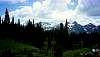 02trip0407.jpg