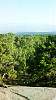 02trip0819.jpg