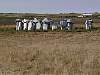 day15_carhenge1.jpg